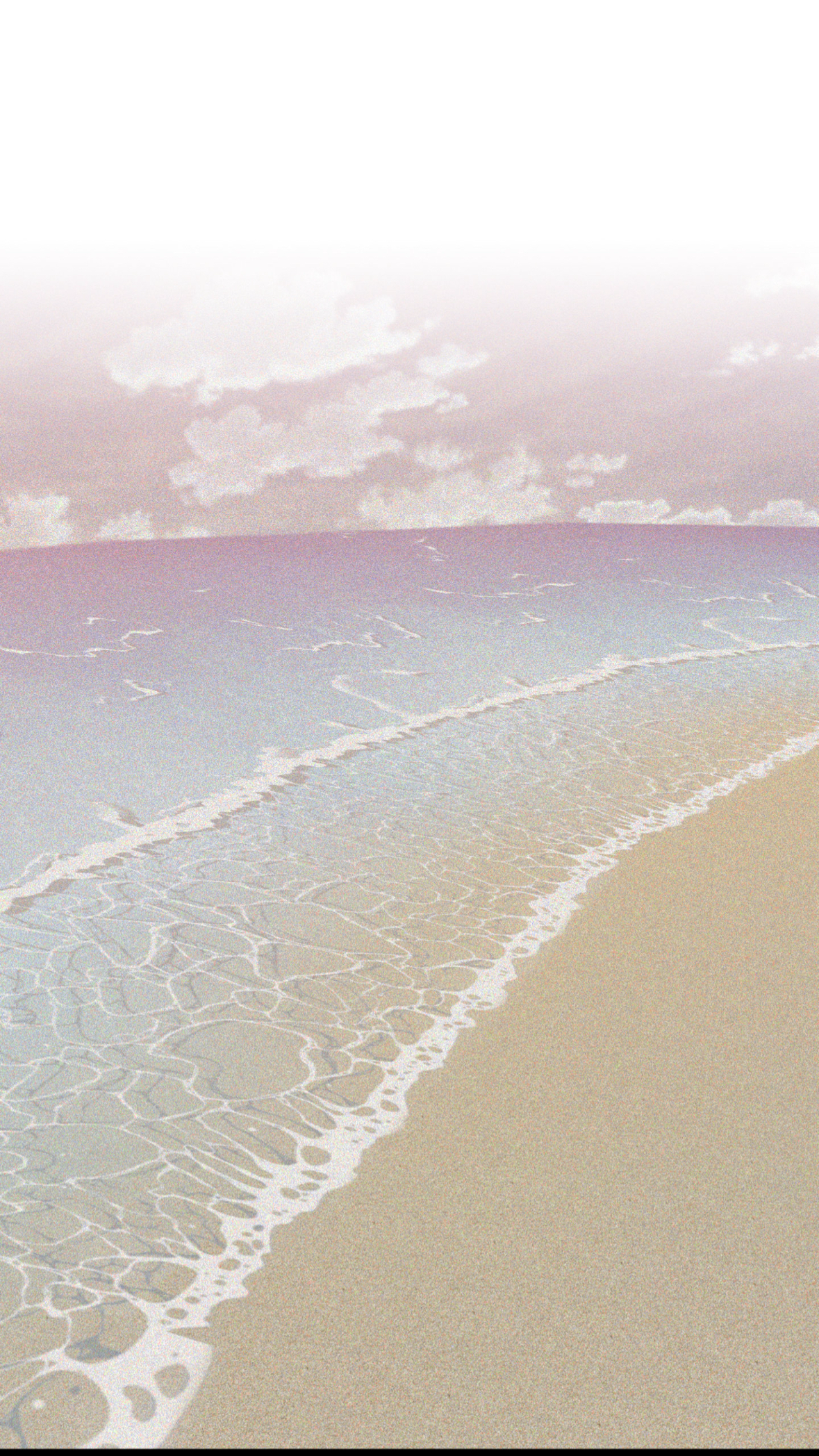 51195727 1179 2096 4850845